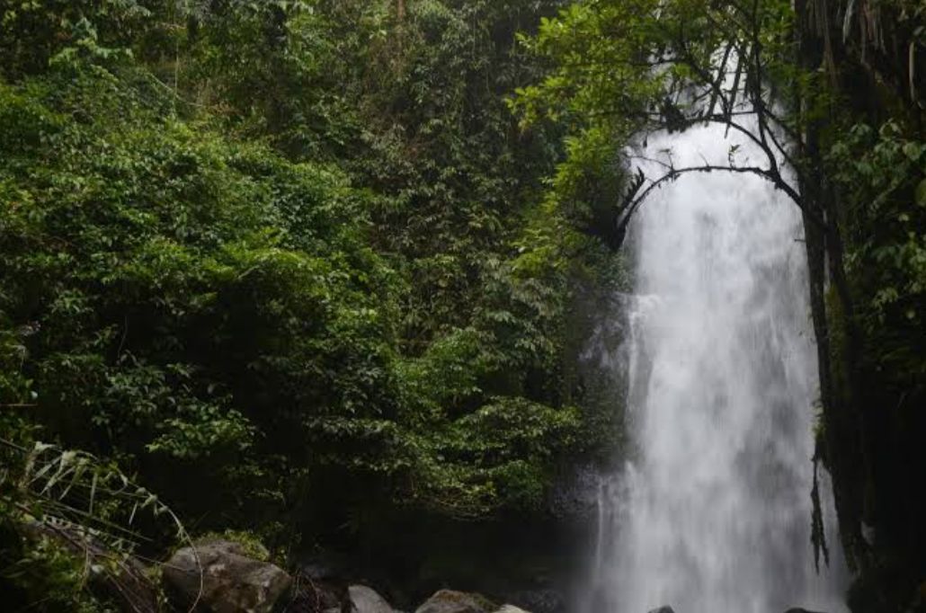 Air Terjun Batu Layang, Surga Tersembunyi di dalam Hutan Bengkulu Utara