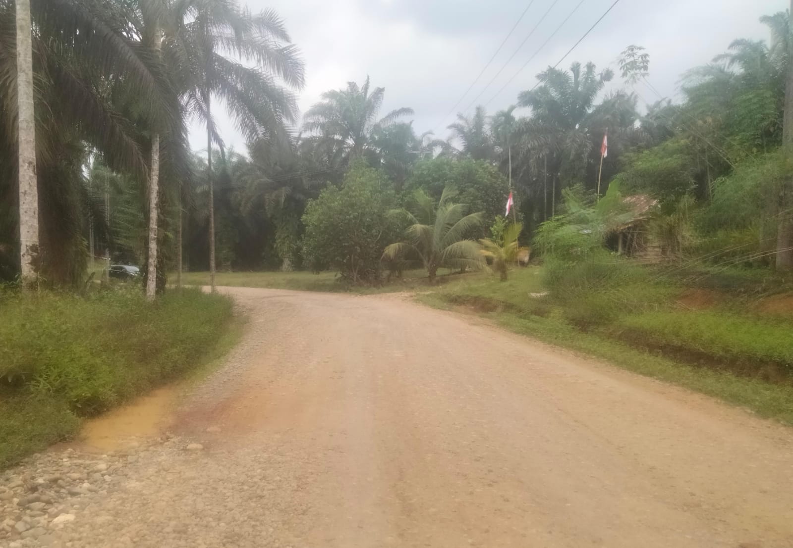 Komitmen Pemkab Bengkulu Utara Lanjutkan Pengaspalan Jalan Suka Merindu-Tugu Garuda Belum Terlihat Wujudnya