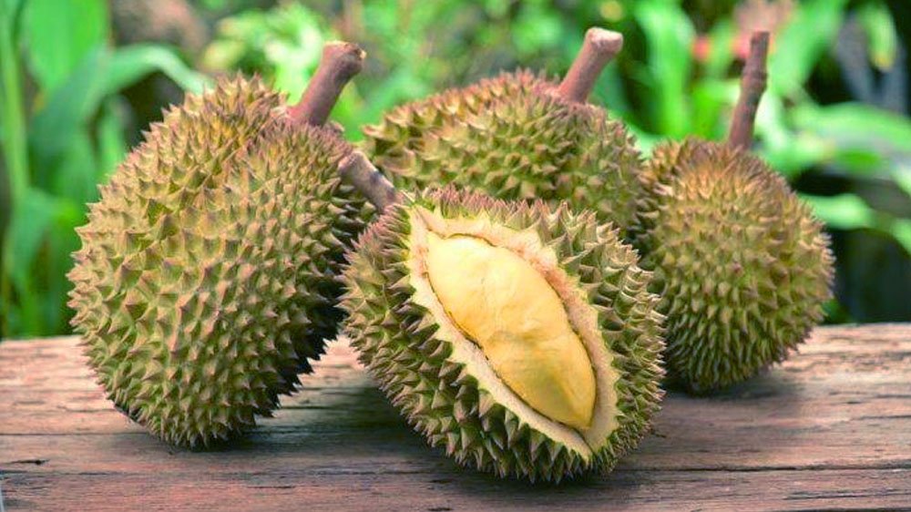Segudang Manfaat Makan Durian, Salah Satunya Obat Flu