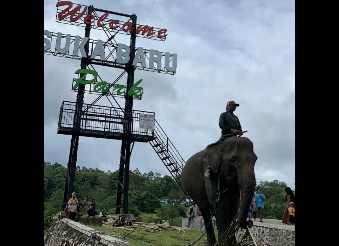 Ini 4 Hal yang Harus Dipersiapkan Jika Ingin Berwisata ke Pusat Latihan Gajah Seblat, Bengkulu