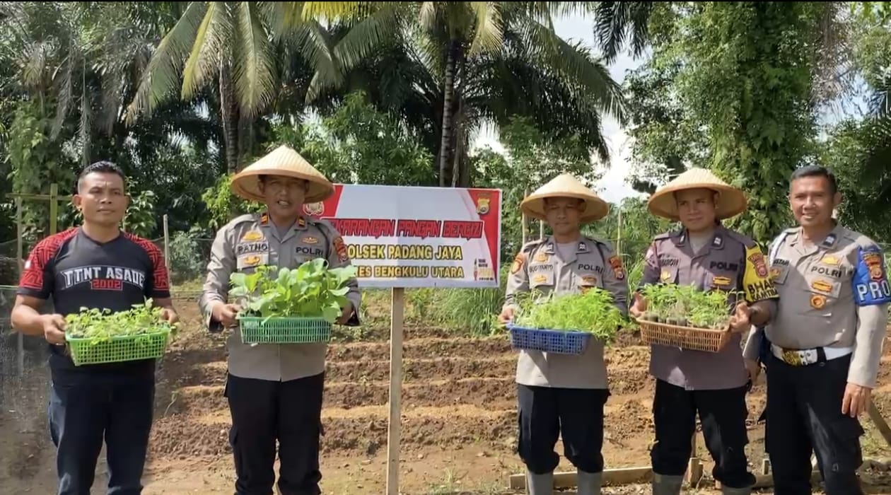 Dukung Program Pemerintah, Polsek Padang Jaya Manfaatkan Pekarangan Kantor untuk Lahan Pangan Bergizi