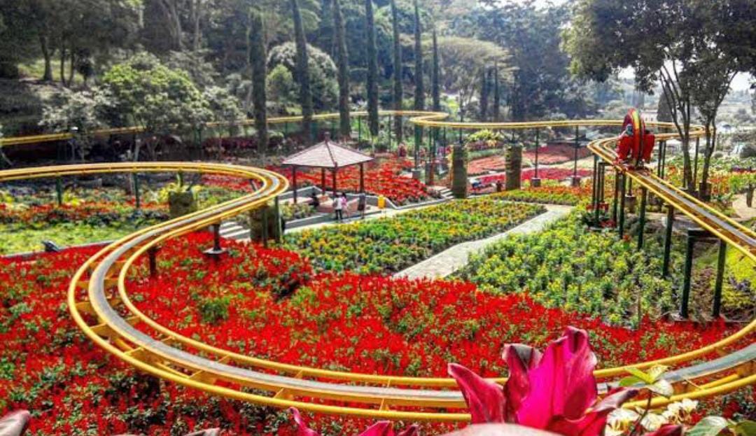 Yuk! Jelajahi 5 Taman Bunga Terindah di Bengkulu Ini, Lokasinya Sangat Instagramable