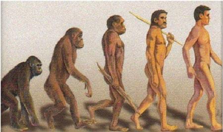 Evolusi Manusia, Perbandingan Mendetail antara Homo Neanderthal dan Homo Sapiens