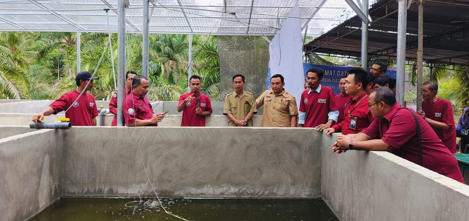 Tingkatkan Produksi Benih Ikan Lele, BPBAT Jambi Bantu Unit Pembenihan Rakyat di Bengkulu Utara 