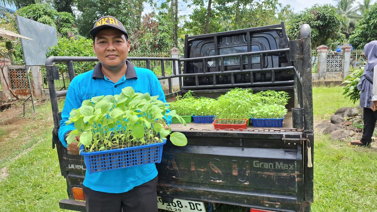 DKP Masih Bagikan Bibit Sayuran Gratis untuk Masyarakat Bengkulu Utara
