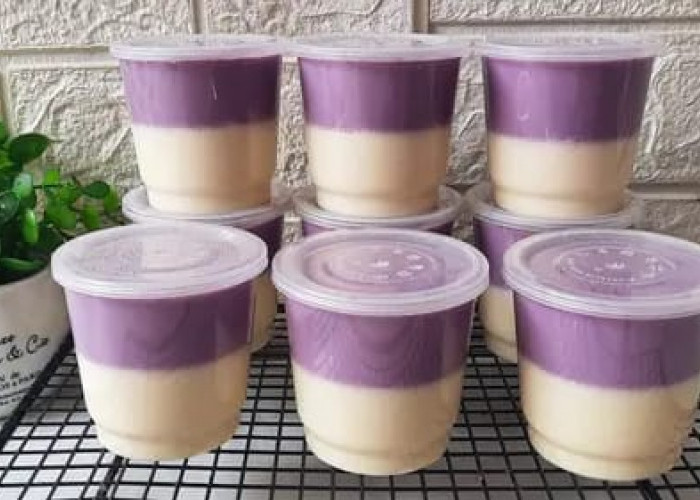 Resep Silky Pudding, Puding Lembut dan Kenyal yang Lumer di Mulut