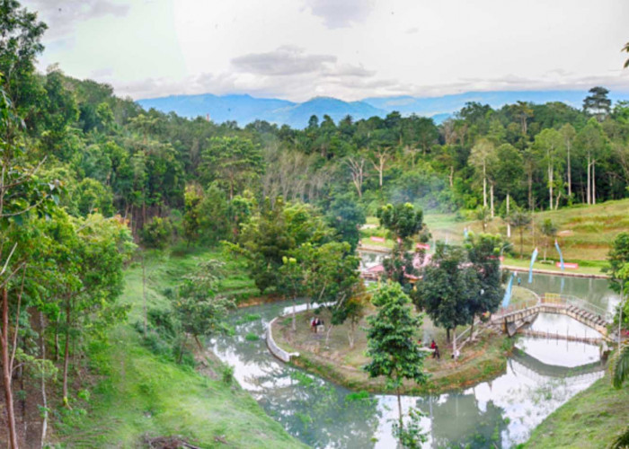 Taman Hutan Kota Arga Makmur, Destinasi Wisata Keluarga