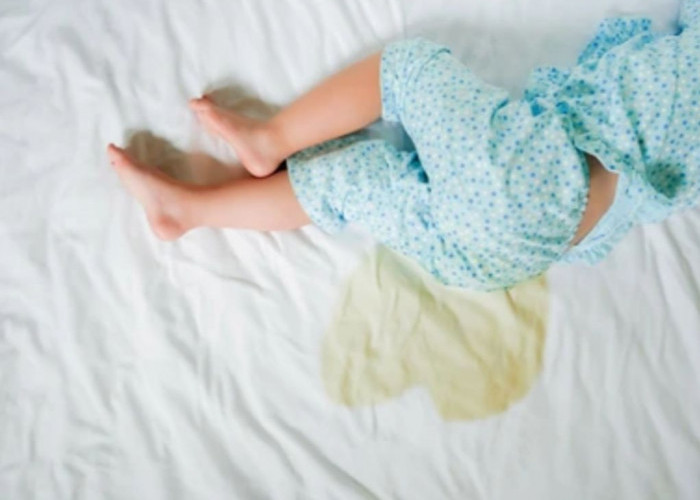 6 Cara Mudah Agar Anak Tak Ngompol dan Paham Toilet Training