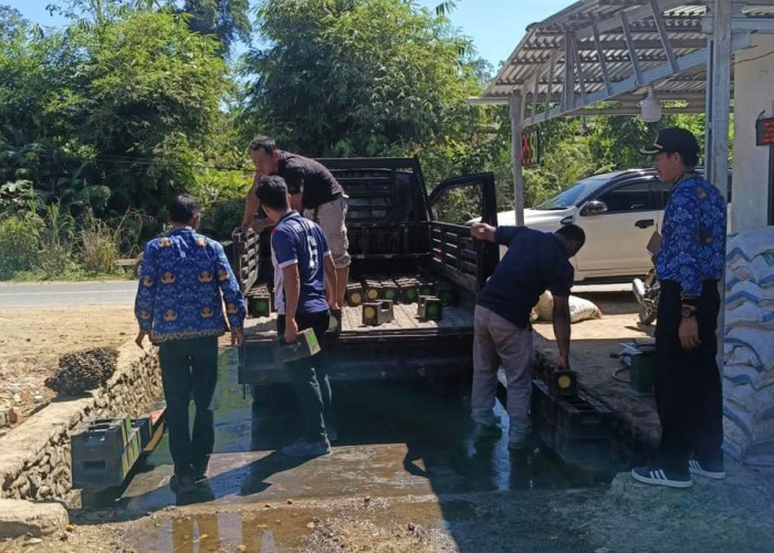 Timbangan RAM Sawit Tuntas Ditera, Petani Tak Perlu Khawatir