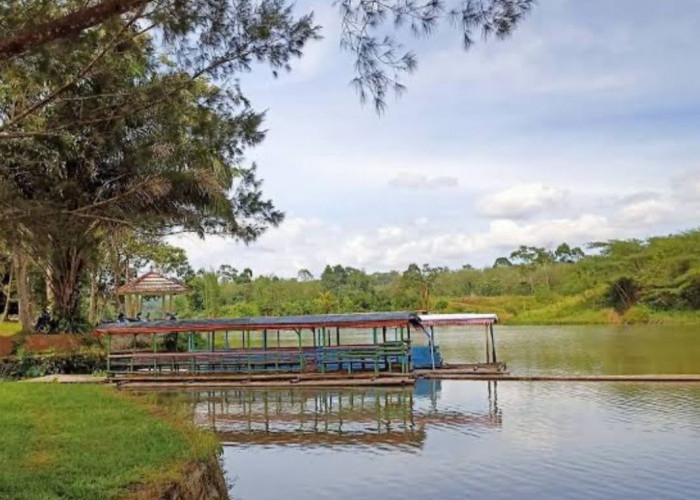 Asal-usul Danau Suro, Pesona Keindahan Wisata Alam di Kepahiang Bengkulu