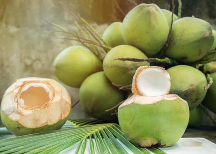 Air Kelapa Muda Hingga Kacang Almond Ternyata Bisa Bantu Sembuhkan Penyakit Asam Lambung