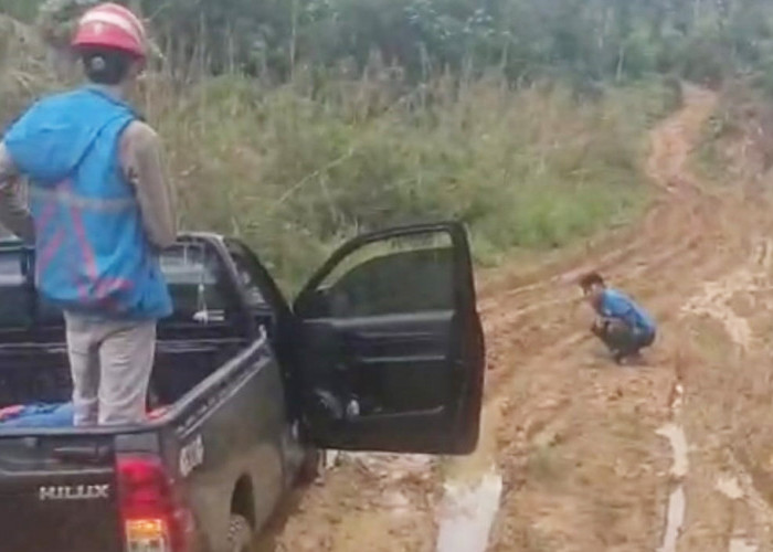 Sudah Bayar Denda P2TL, Warga Dusun III Tanjung Kemenyan Cemas Jaringan PLN Tersendat