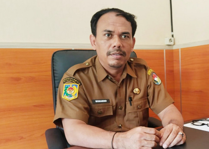 Proses Pemberhentian ASN Dipermudah, Sistem Online BKN Mulai Berlaku 1 Agustus