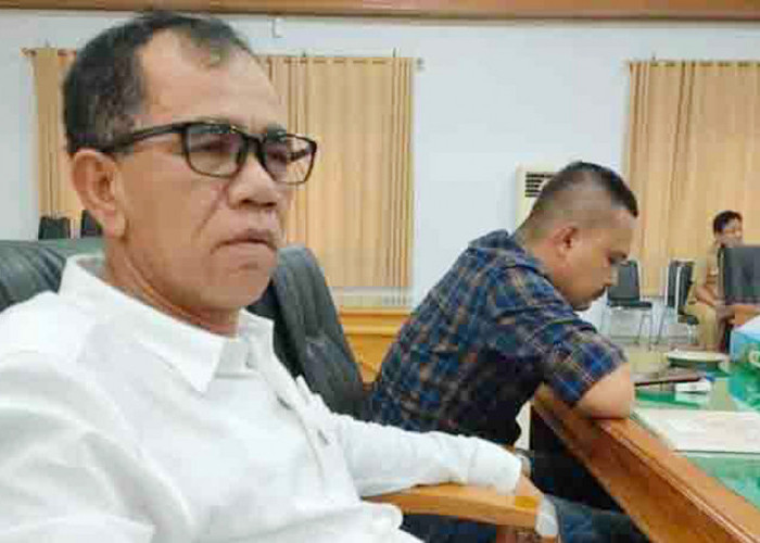 Lambatnya Serapan APBD Disorot, Rizal Sitorus: Jangan Sampai Jadi Catatan Pusat! 