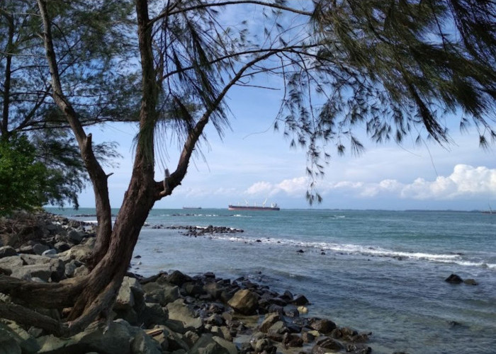 Menyambut Weekend Seru di Lentera Hijau Bengkulu, Mulai dari Memancing Hingga Melihat Sunset