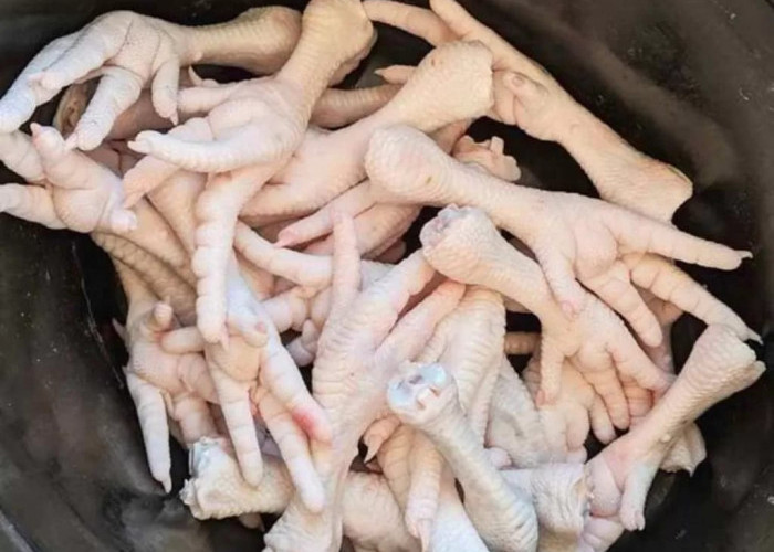 Lantaran Mengandung Kolagen Tinggi, Rutin Konsumsi Ceker Ayam Bisa Bikin Wajah Glowing dan Kenyal