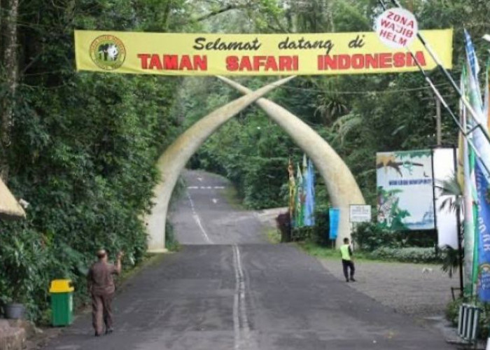 Deretan Taman Rekreasi Terbesar di Indonesia, Cocok Dikunjungi Saat Libur Nataru!