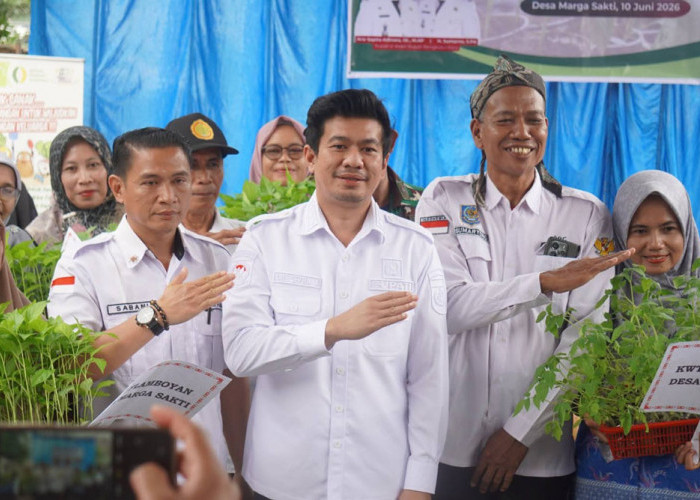Perkuat Ekonomi & Ketahanan Pangan, Bupati Bagikan Bibit Sayuran Gratis, Berdayakan KWT