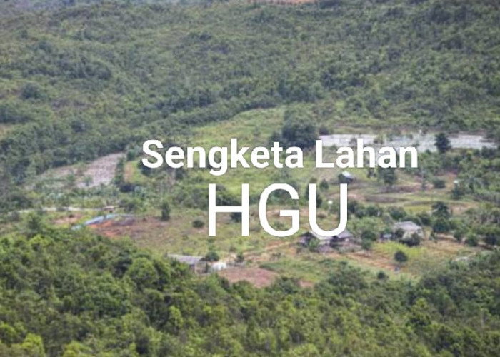 15 Hektar Lahan Kebun Kas Bersertifikat Milik Desa Karya Pelita Diklaim oleh PT Air Muring Masuk HGU
