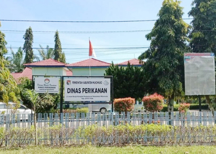 Digitalisasi BBM Nelayan, Mukomuko Wajibkan Rekomendasi Lewat Aplikasi X-Star