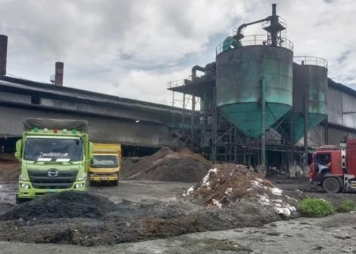 Dua Pabrik Sawit di Mukomuko Pasang Harga Pembelian TBS di Atas Rp3 Ribu