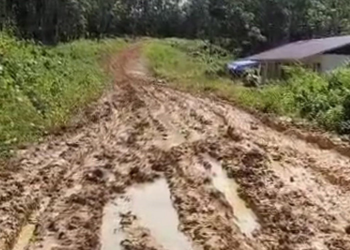 Program Karya Bakti, TNI dan Pemda Benahi Jalan Permukiman KM 40 Desa Tanjung Kemenyan