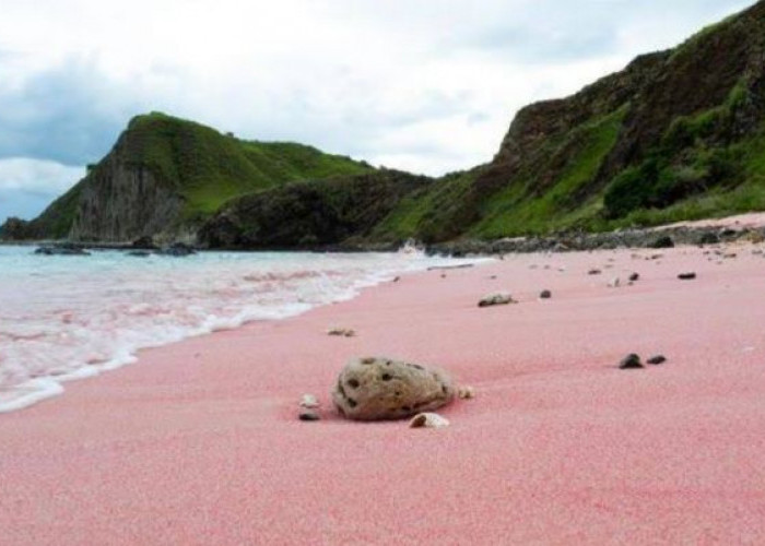 Dekat dari Jakarta, Mengunjungi Pantai Pasir Pink, Rekomendasi Healing di Akhir Tahun! 