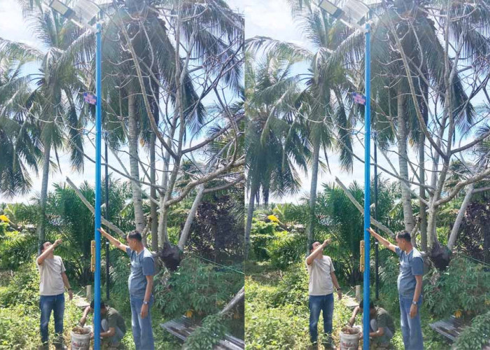 Pemdes Pasar Ketahun Nyalakan 13 Titik Lampu Jalan