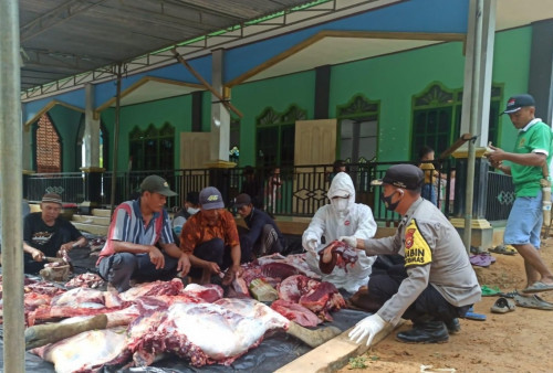 Jika Bergejala PMK, Rebus Daging Kurban 30 Menit