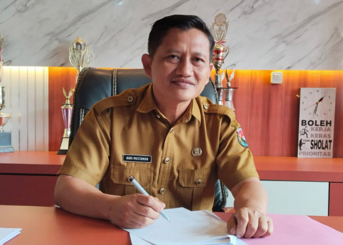 Hama Tikus Serang Awal Musim Tanam, Petani Tunggu Bantuan Obat