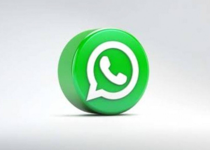 Fitur Terbaru WhatsApp Ini Wajib Kamu Ketahui, Bisa Kirim Video Lebih Cepat, Begini Caranya