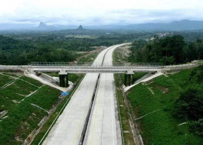 Progres Pembangunan Jalan Tol Menuju Bengkulu Capai 50 Persen, Begini Penampakannya