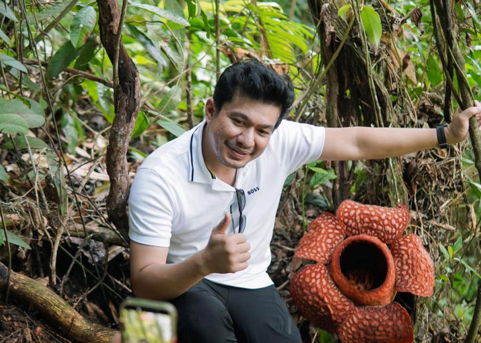 Lestarikan Budaya & Bangkitkan Ekonomi, Bupati Siapkan Event Rafflesia Kemumu Festival