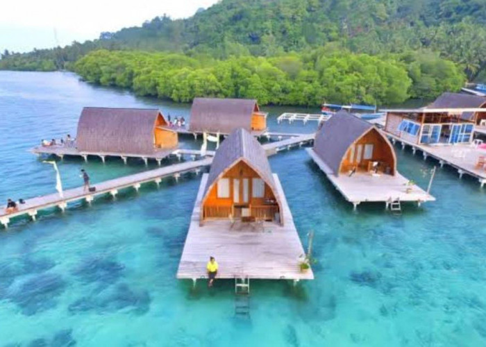 Ini Penyebab Pulau Pahawang Bakal Dilelang Pihak LPS