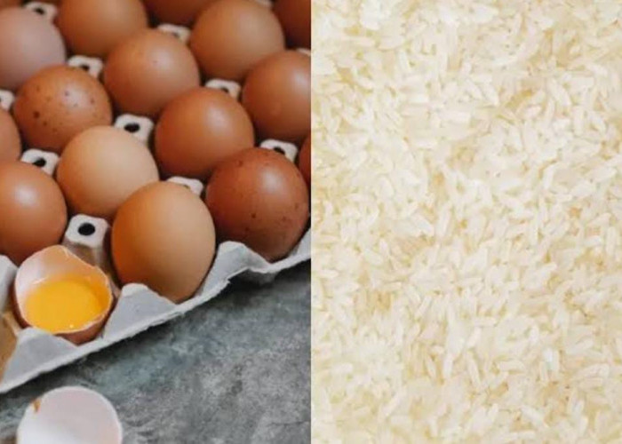 Dalam Upaya Memerangi Stunting, Pemerintah Salurkan Bansos Telur dan Ayam Minggu Depan