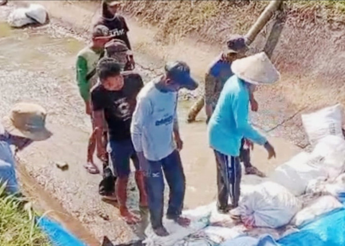 Saluran Irigasi Rusak, Mukomuko Kejar Bantuan Pusat