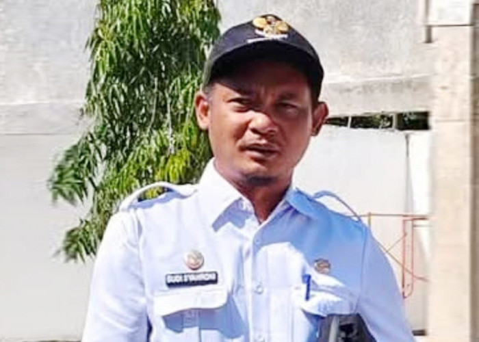 Masa Tugas Plh Terbatas, Camat Napal Putih Ajukan Plt Kades Teluk Anggung