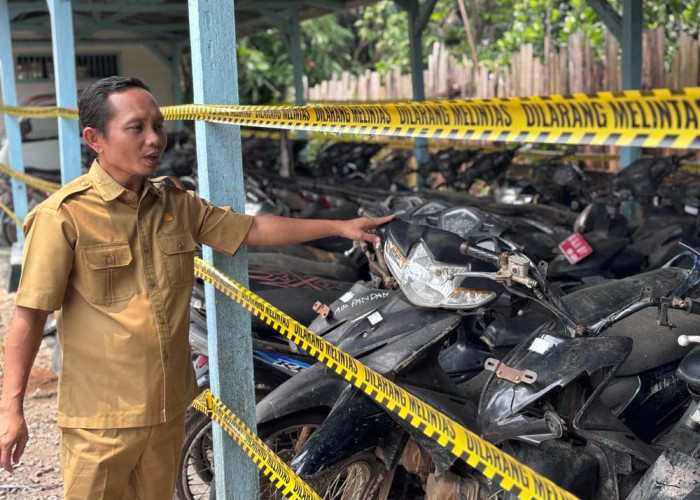 Ratusan Kendis Masuk Daftar, Begini Cara Ikut Lelang di Bengkulu Utara