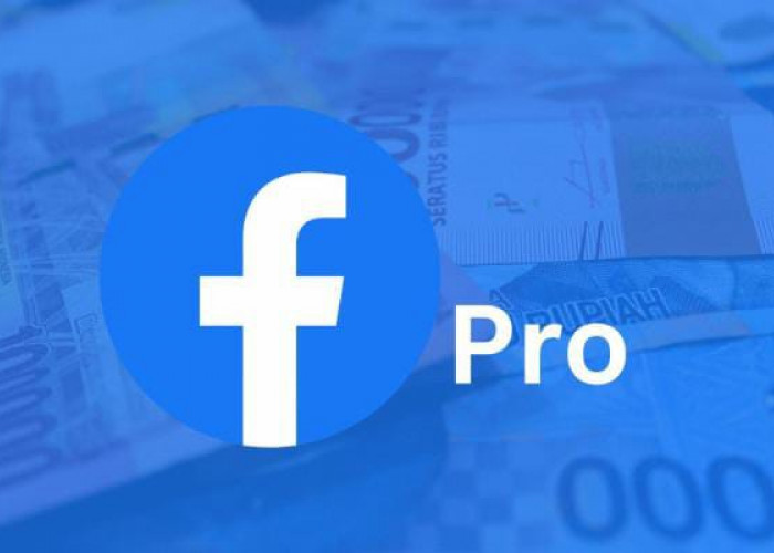 Aplikasi Penghasil Saldo DANA Modal Facebook Pro, Benarkah Menguntungkan?