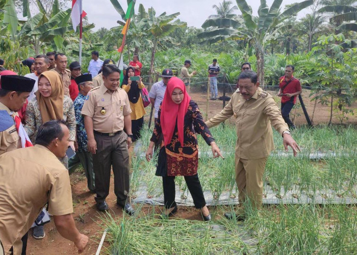 Bupati Bengkulu Utara Panen Perdana, Program Bawang Merah di Arga Mulya Sukses