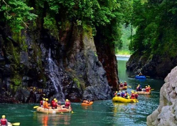 Arung Jeram Dayang Reginang, Wisata Adrenalin di Lebong yang Wajib di Coba