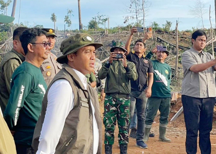 Menhut Raja Juli Dituding Belum Tunaikan Janji Pulihkan Kantong Gajah di Bengkulu