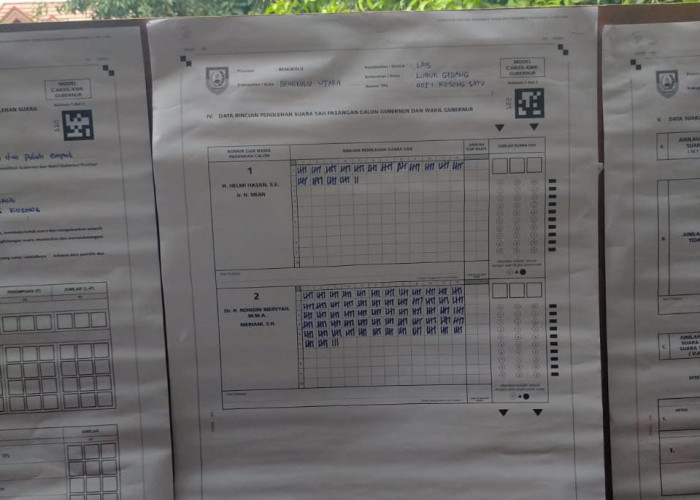 Hitung Suara, HM Kalah Telak dari Romer di TPS Desa Lubuk Gedang, Bengkulu Utara 