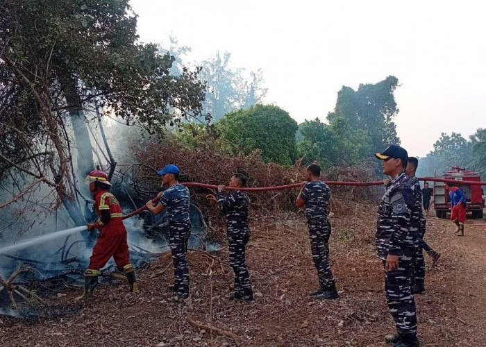 Kebakaran Lahan di Muara Dua, Lanal Bengkulu Berjibaku Padamkan Api