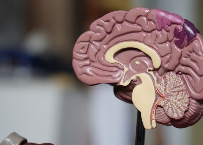 Sebelum Belajar Jangan Lupa Berdoa, Agar Mudah Menghafal dan Bisa Mendapatkan Kecerdasan Otak