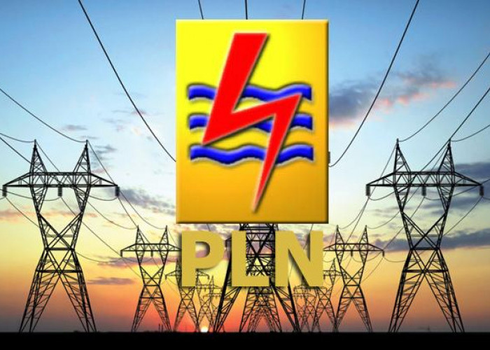 Layangkan Surat, FKKD MSS Desak DPRD Segera Panggil Bos PLN