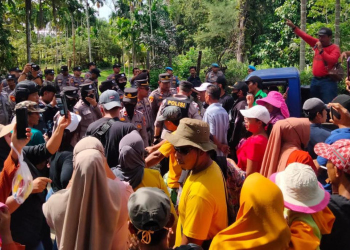 Ditantang Bentuk Pansus Sengketa HGU Agricinal, Begini Respon Komisi II DPRD Bengkulu Utara
