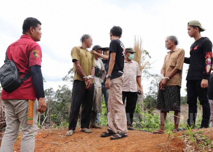 KLHK dan Ditreskrimsus Polda Bengkulu Tangkap 3 Perambah Hutan TWA Sebelat