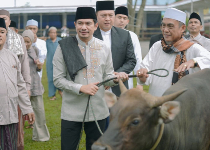 Serahkan Hewan Kurban, Bupati Bengkulu Utara Sholat Idul Adha di Masjid Agung