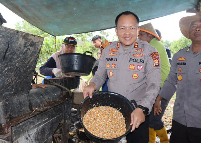 Panen Serentak, Polres Bengkulu Utara Produksi 5 Ton Jagung